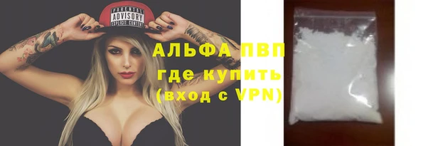 дживик Пересвет